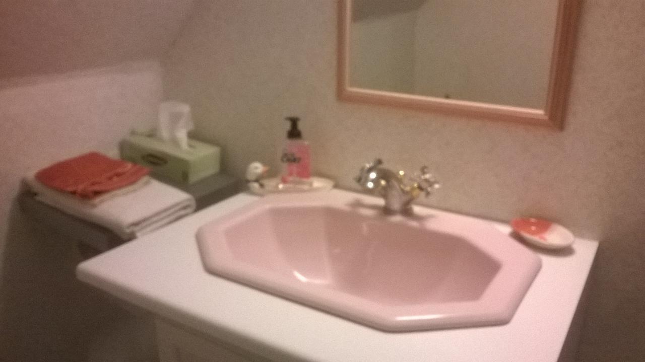 Le Hameau Aux Escargots Bed and Breakfast Bernon Habitación foto